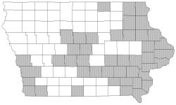 white ash map