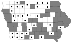 bitternut hickory map