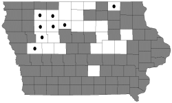 silver maple map