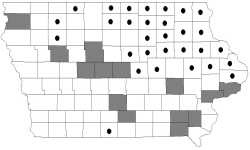 hill's oak map