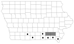 blackjack oak map