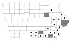 pin oak map